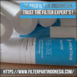 cartridge filter pentair indonesia  large